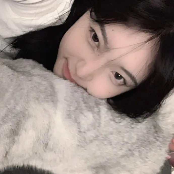 国土安全第二季