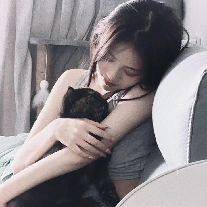 一只龟的进化史